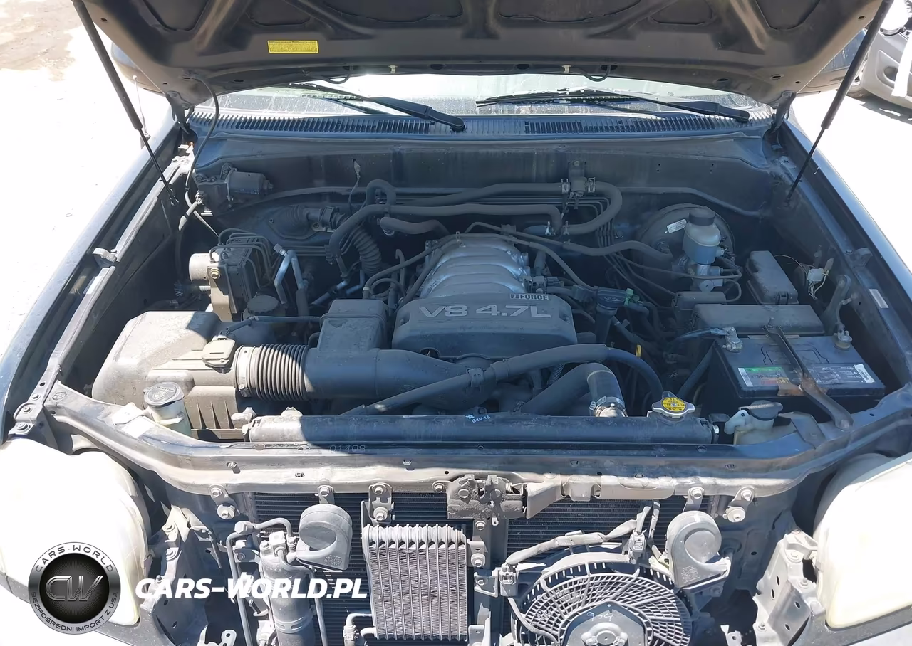 2003 Toyota Sequoia Sr5 V8 VIN:5TDZT34A23S163561 - 10