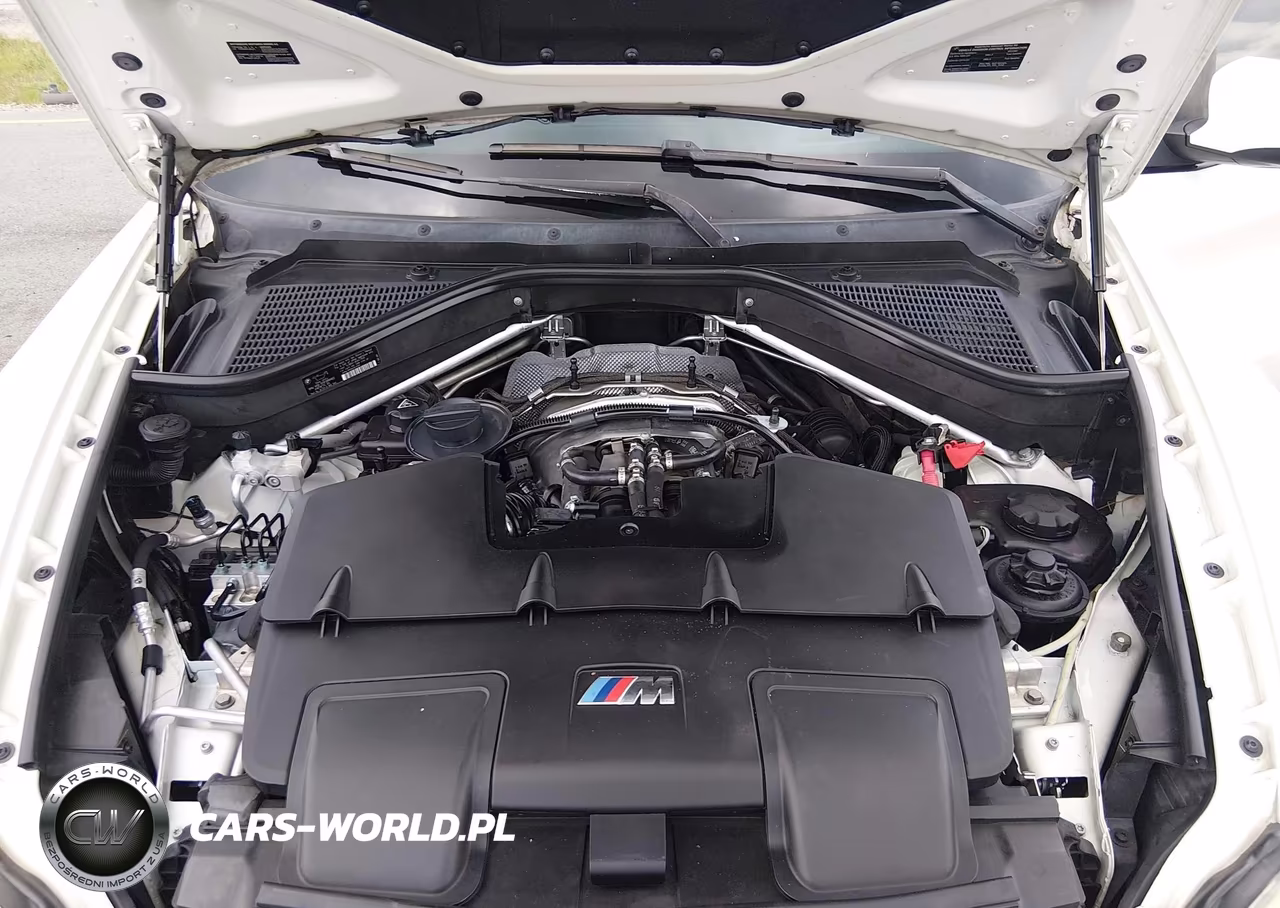 2014 BMW X6 M VIN:5YMGZ0C58E0C40314 - 10