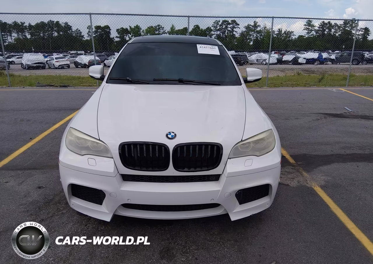 2014 BMW X6 M VIN:5YMGZ0C58E0C40314 - 12