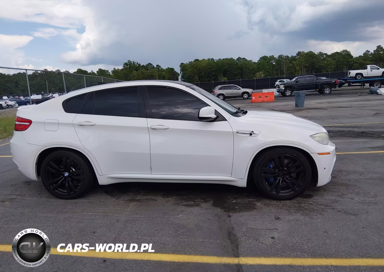 2014 BMW X6 M VIN:5YMGZ0C58E0C40314 - 13
