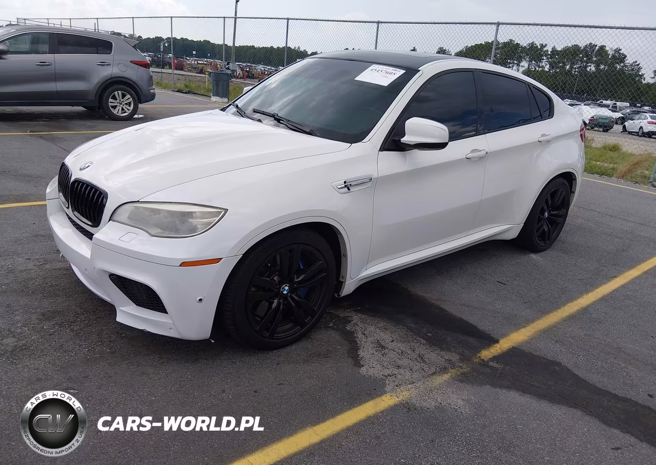 2014 BMW X6 M VIN:5YMGZ0C58E0C40314 - 2