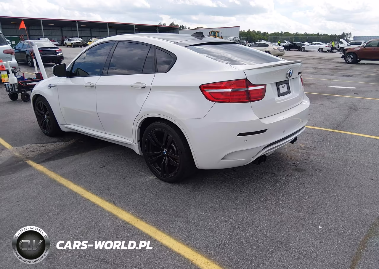 2014 BMW X6 M VIN:5YMGZ0C58E0C40314 - 3