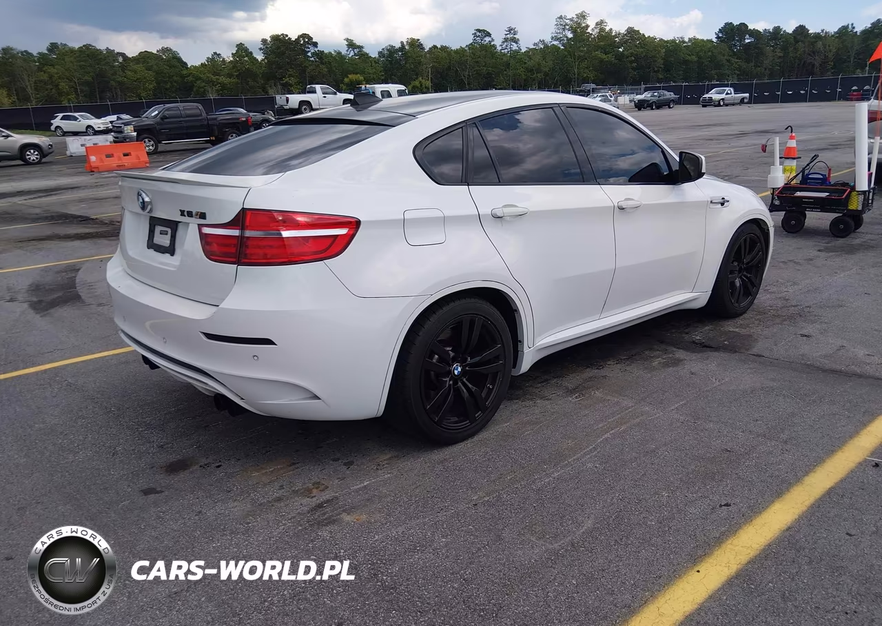 2014 BMW X6 M VIN:5YMGZ0C58E0C40314 - 4