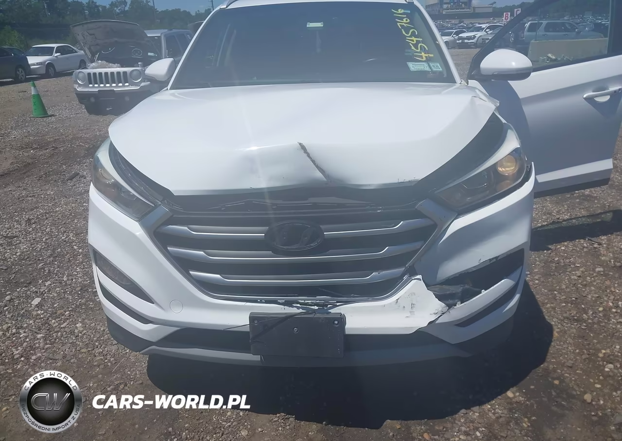 2017 Hyundai Tucson Sport VIN:KM8J3CA24HU278087 - 10