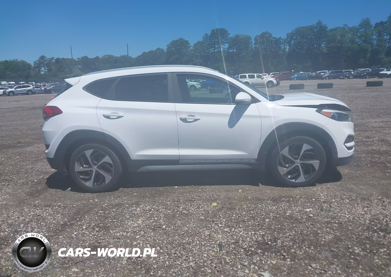 2017 Hyundai Tucson Sport VIN:KM8J3CA24HU278087 - 13