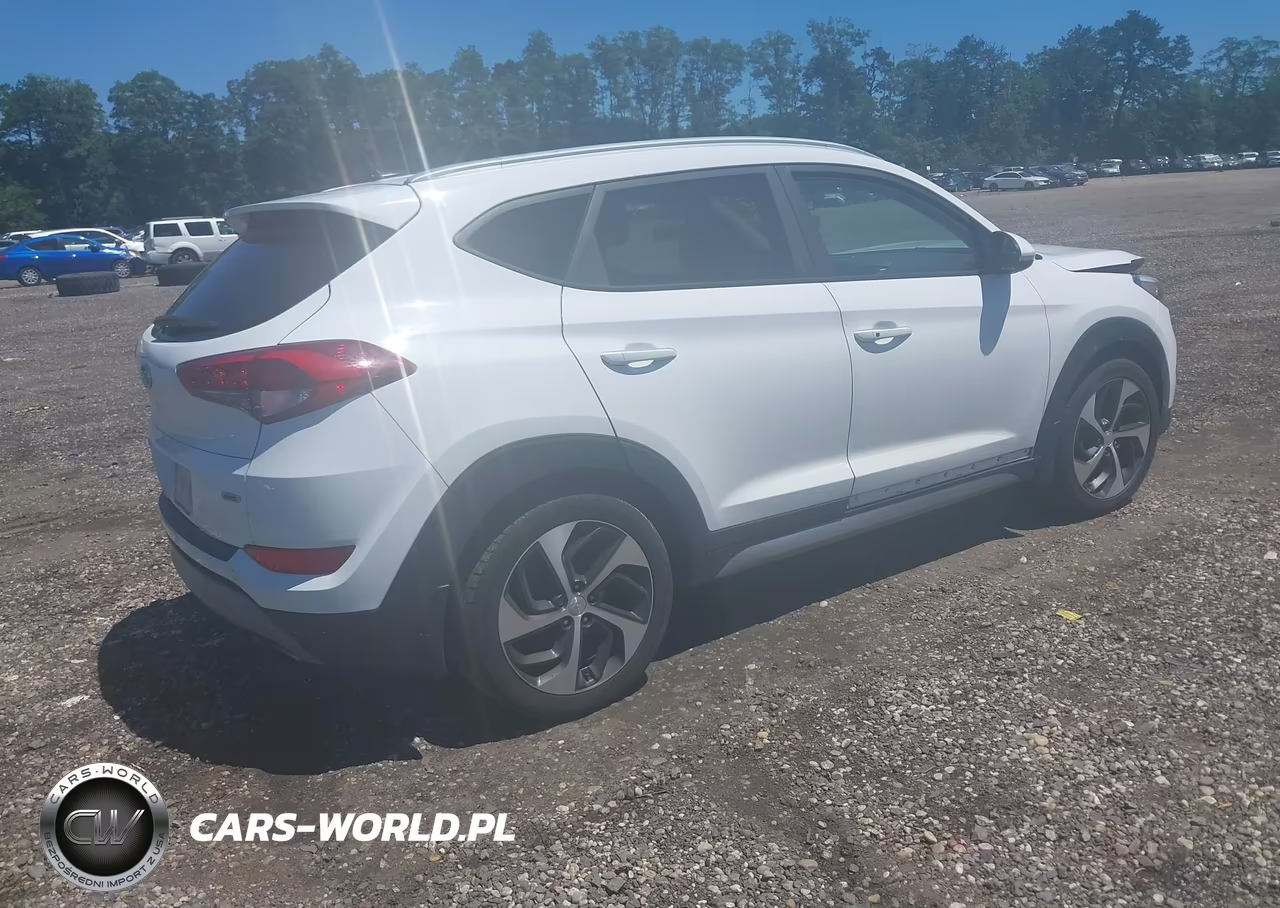 2017 Hyundai Tucson Sport VIN:KM8J3CA24HU278087 - 4