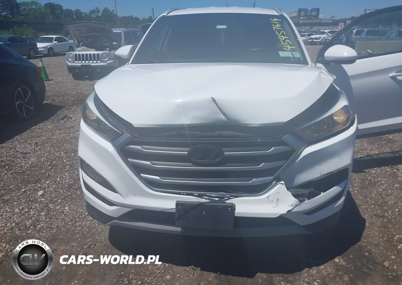 2017 Hyundai Tucson Sport VIN:KM8J3CA24HU278087 - 6