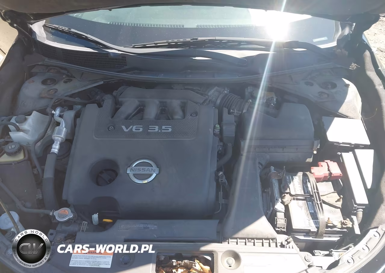 2013 Nissan Altima 3.5 Sl VIN:1N4BL3AP2DC238021 - 10