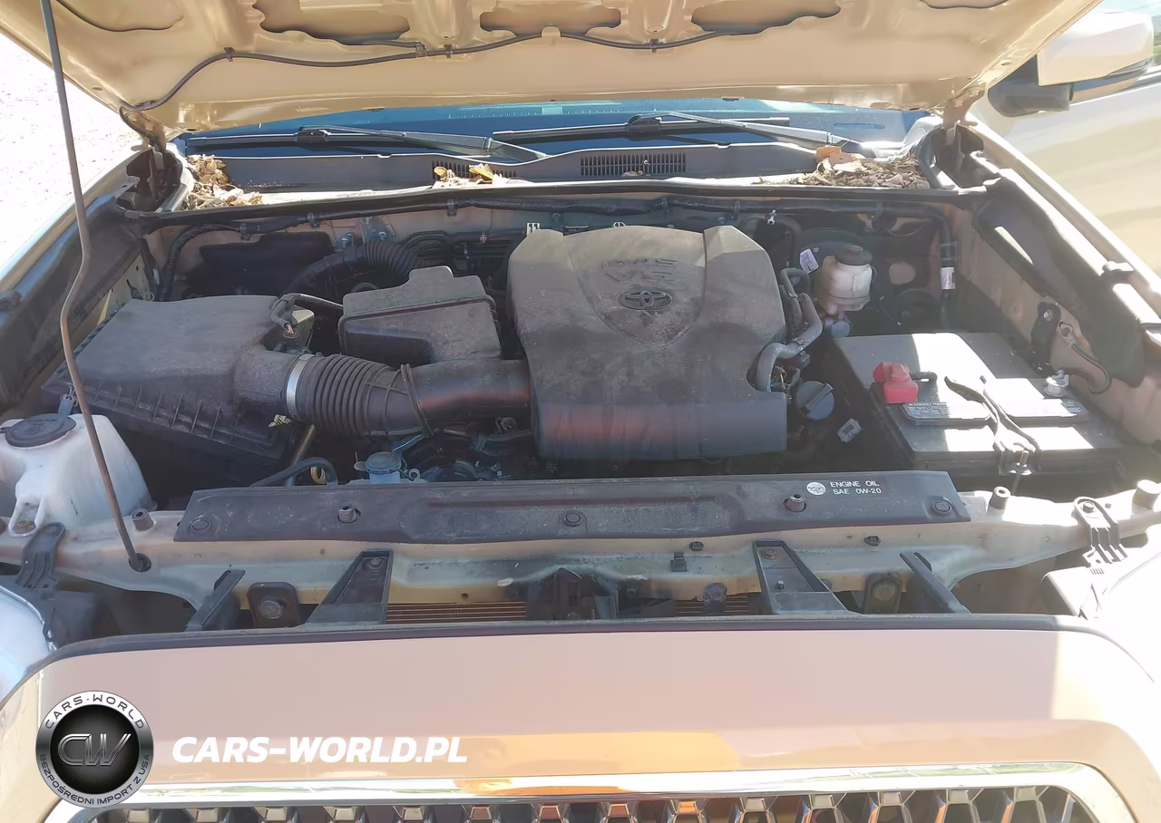 2019 Toyota Tacoma Trd Sport VIN:3TMCZ5AN4KM216623 - 10