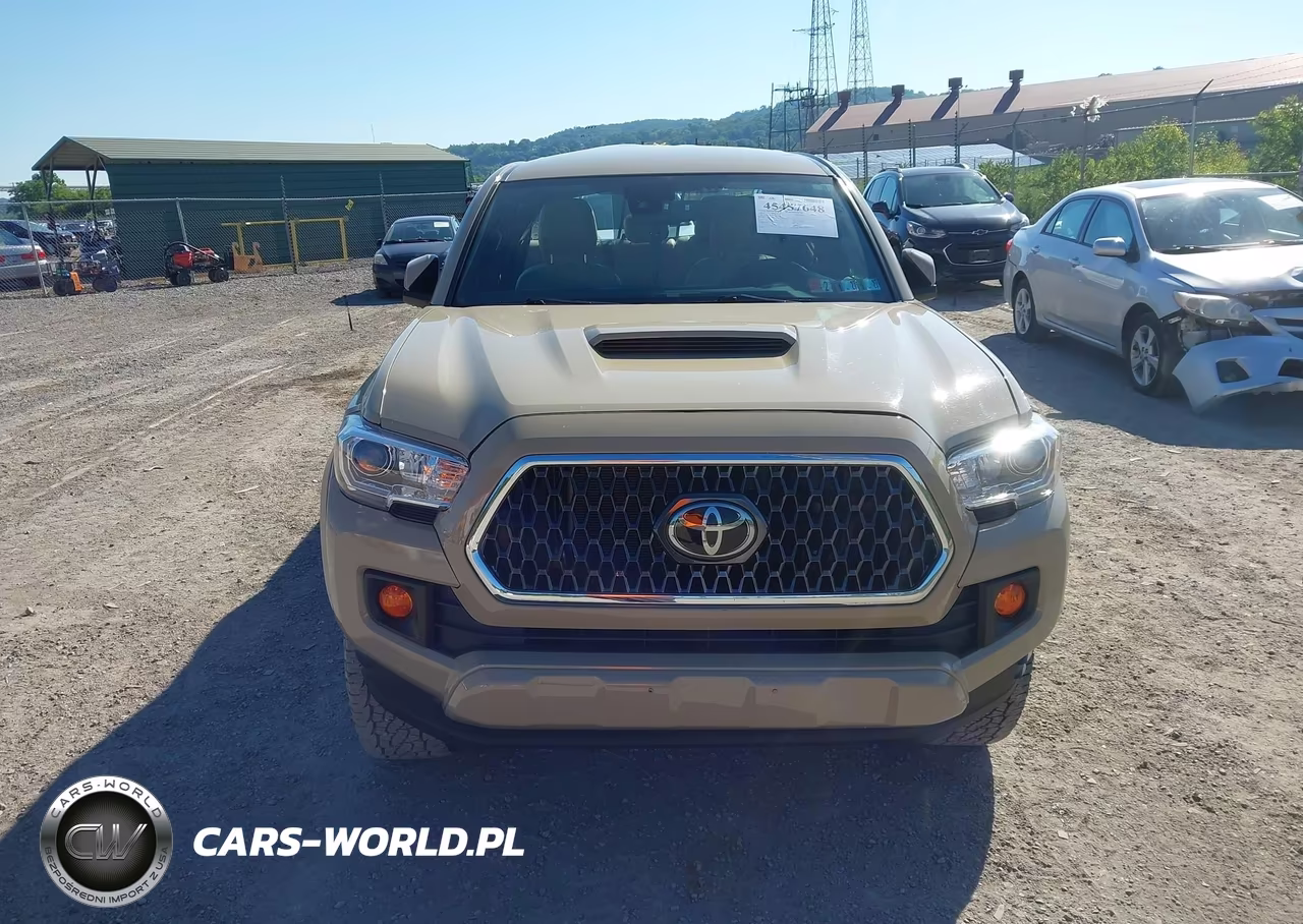 2019 Toyota Tacoma Trd Sport VIN:3TMCZ5AN4KM216623 - 12
