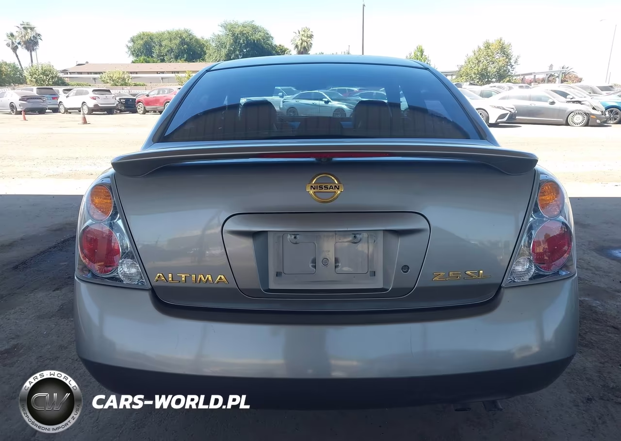 2004 Nissan Altima 2.5 Sl VIN:1N4AL11D14C193384 - 16