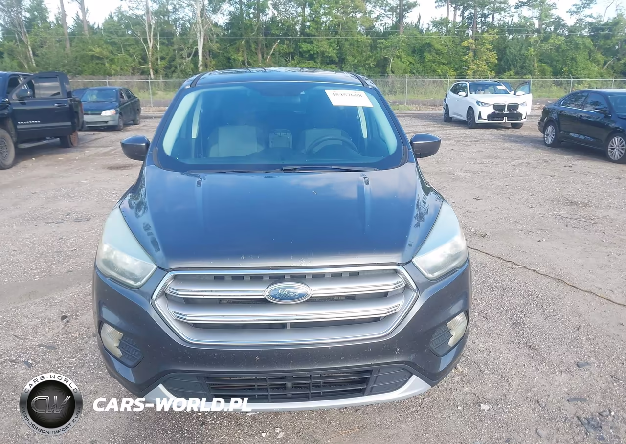 2017 Ford Escape Se VIN:1FMCU9G99HUC52923 - 12
