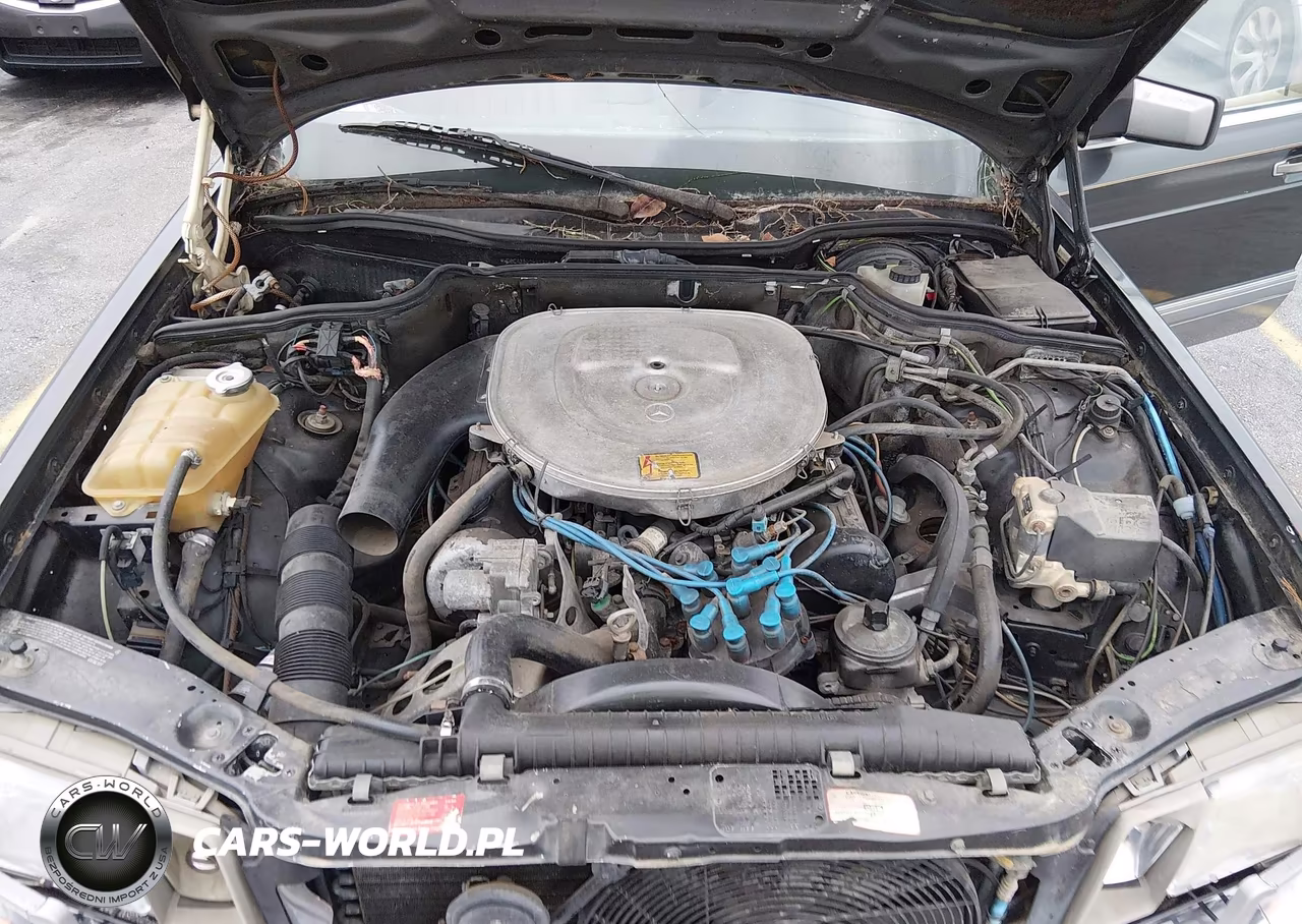 1987 Mercedes-Benz 420 Sel VIN:WDBCA35D0HA292647 - 10