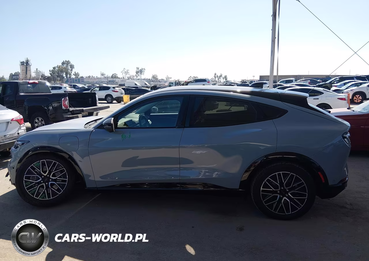 2024 Ford Mustang Mach-E Premium VIN:3FMTK3R45RMA09457 - 14