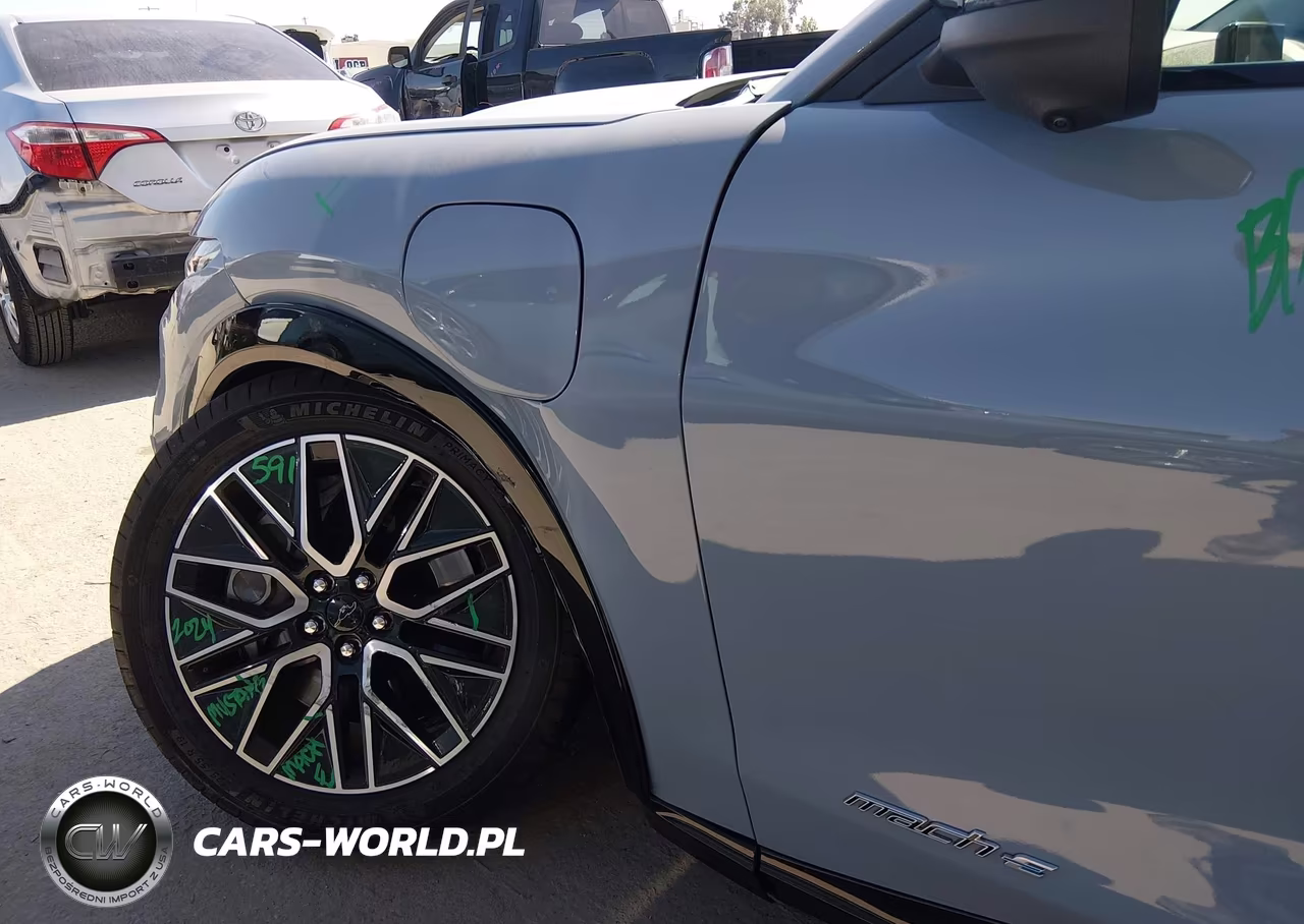 2024 Ford Mustang Mach-E Premium VIN:3FMTK3R45RMA09457 - 20