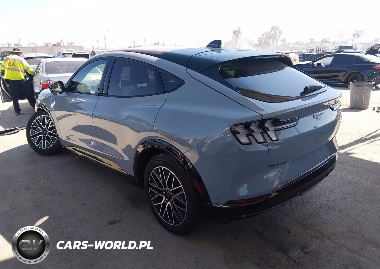 2024 Ford Mustang Mach-E Premium VIN:3FMTK3R45RMA09457 - 3