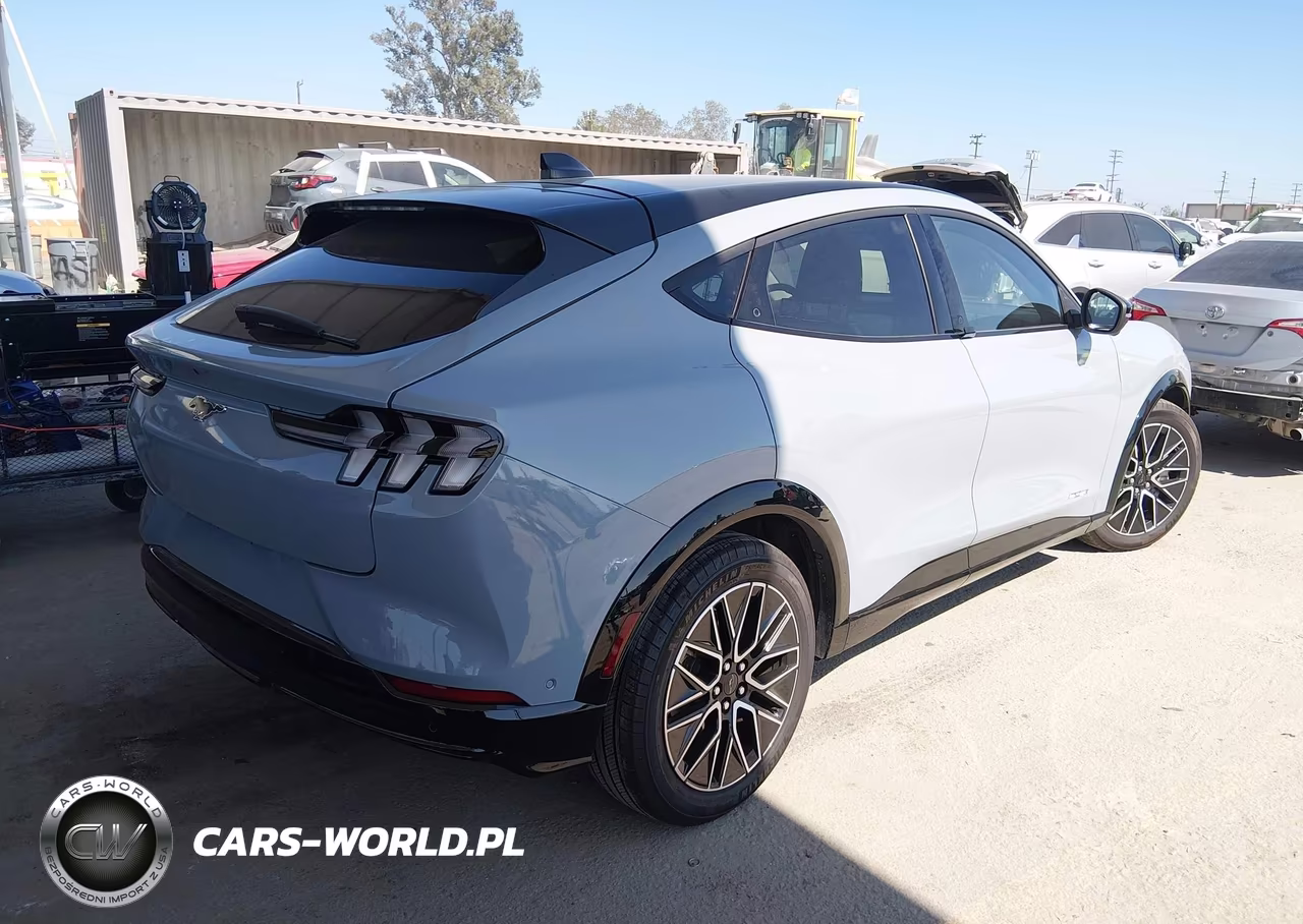 2024 Ford Mustang Mach-E Premium VIN:3FMTK3R45RMA09457 - 4