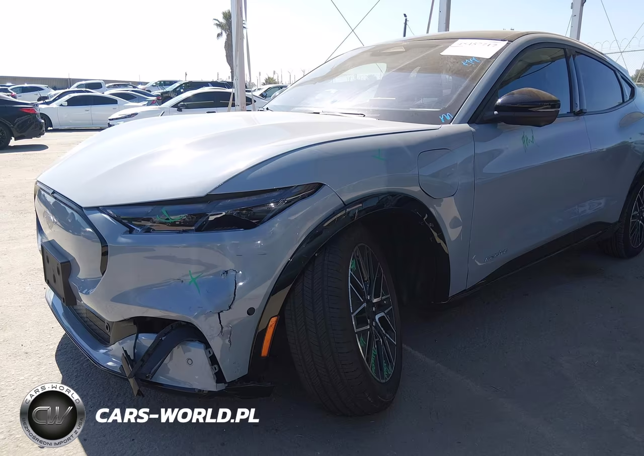 2024 Ford Mustang Mach-E Premium VIN:3FMTK3R45RMA09457 - 6