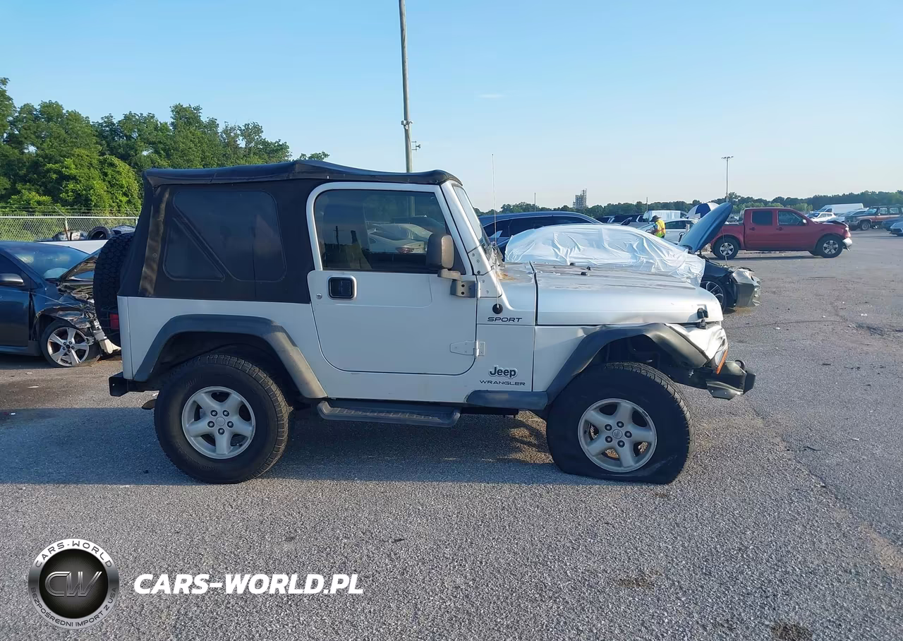 2003 Jeep Wrangler Sport VIN:1J4FA49S63P339810 - 13