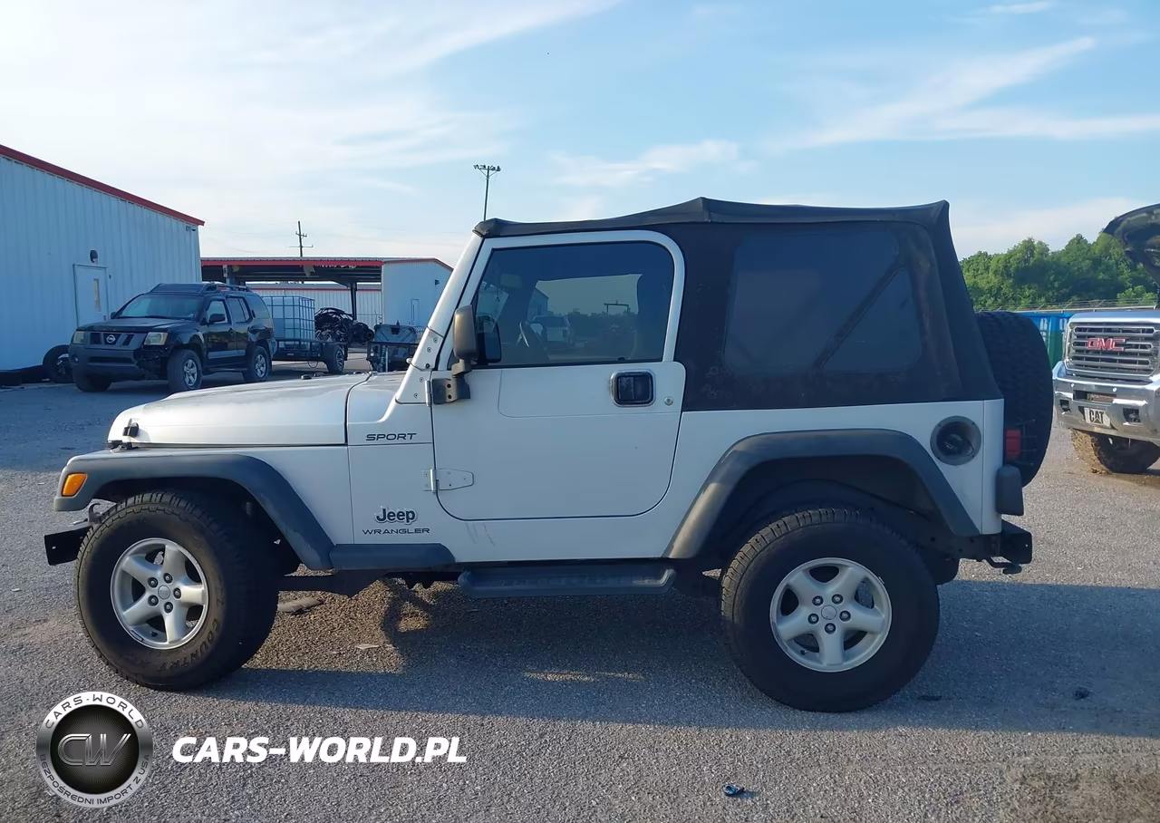 2003 Jeep Wrangler Sport VIN:1J4FA49S63P339810 - 14