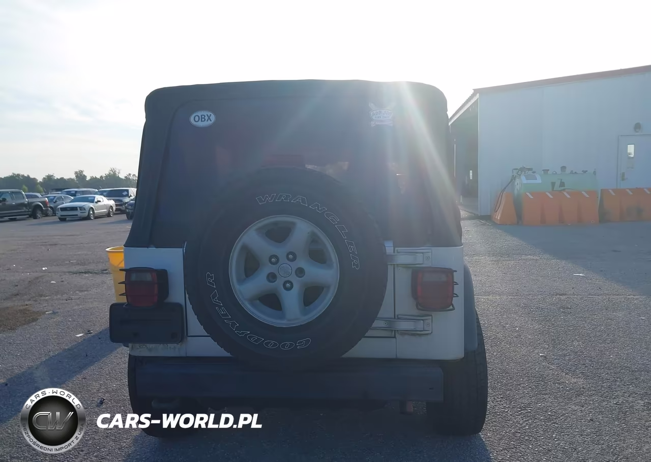 2003 Jeep Wrangler Sport VIN:1J4FA49S63P339810 - 16
