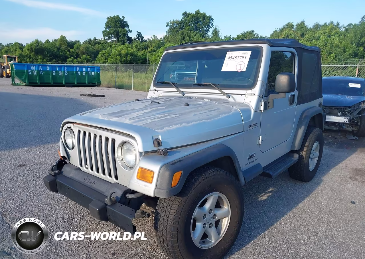 2003 Jeep Wrangler Sport VIN:1J4FA49S63P339810 - 2