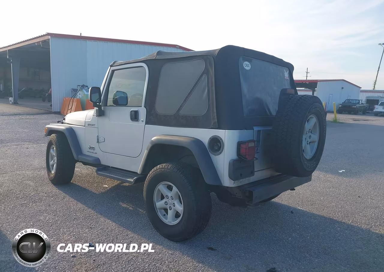 2003 Jeep Wrangler Sport VIN:1J4FA49S63P339810 - 3