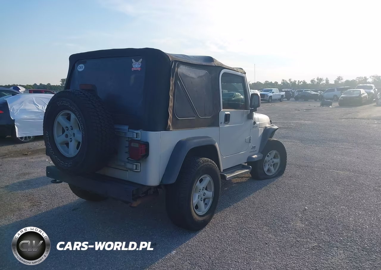 2003 Jeep Wrangler Sport VIN:1J4FA49S63P339810 - 4