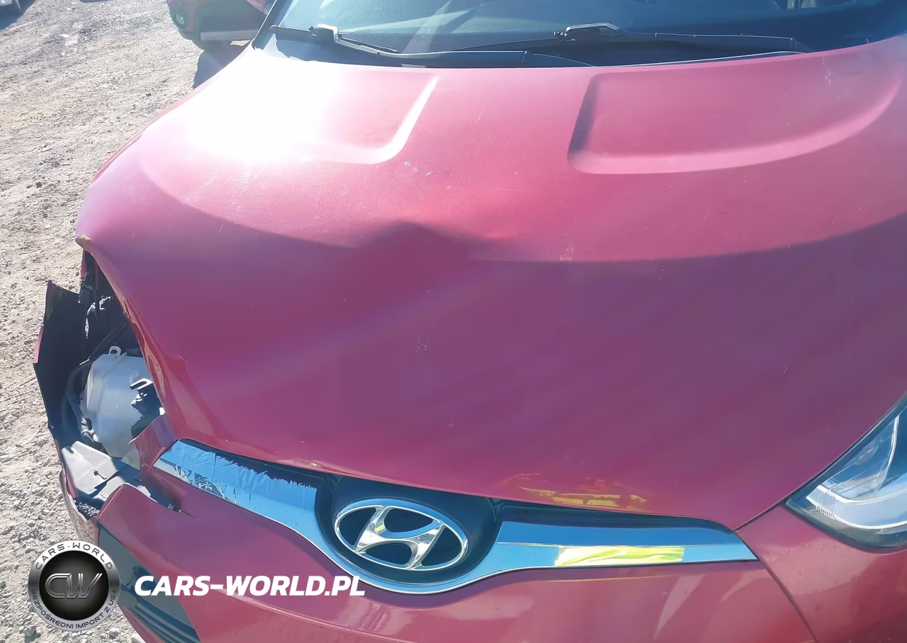 2017 Hyundai Veloster VIN:KMHTC6AD6HU317452 - 15