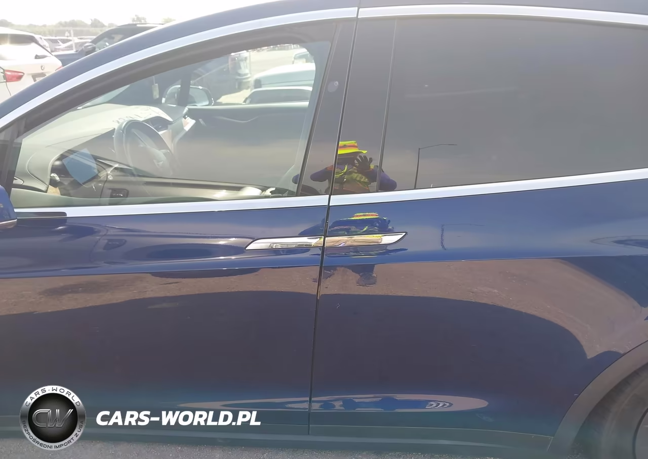 2019 Tesla Model X 100D-75D-Long Range VIN:5YJXCAE26KF152679 - 13