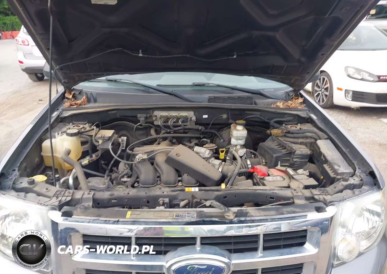 2008 Ford Escape Xlt VIN:1FMCU03168KA63878 - 10