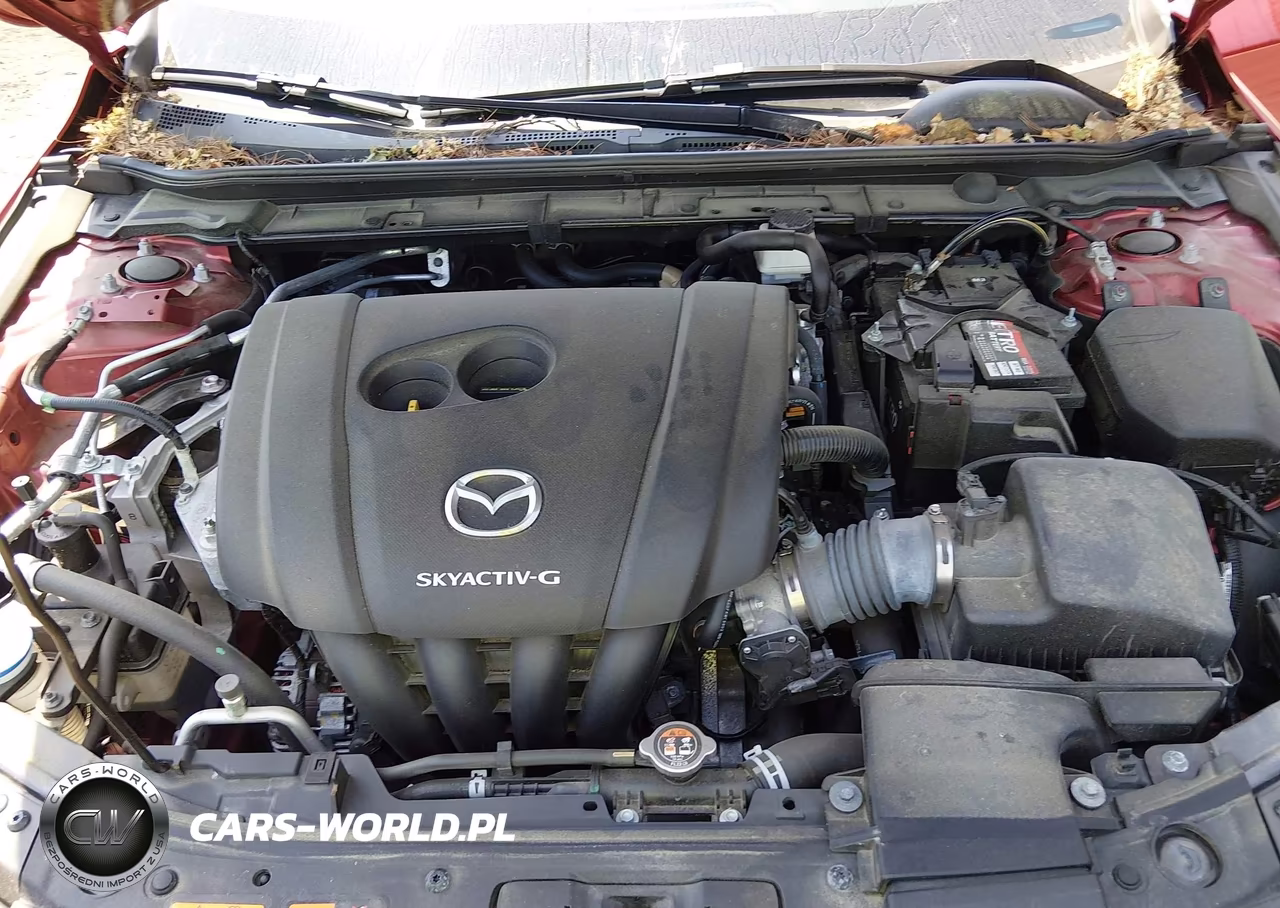 2019 Mazda Mazda3 Preferred Package VIN:3MZBPADL4KM106513 - 10