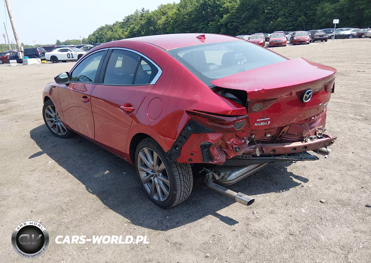 2019 Mazda Mazda3 Preferred Package VIN:3MZBPADL4KM106513 - 3