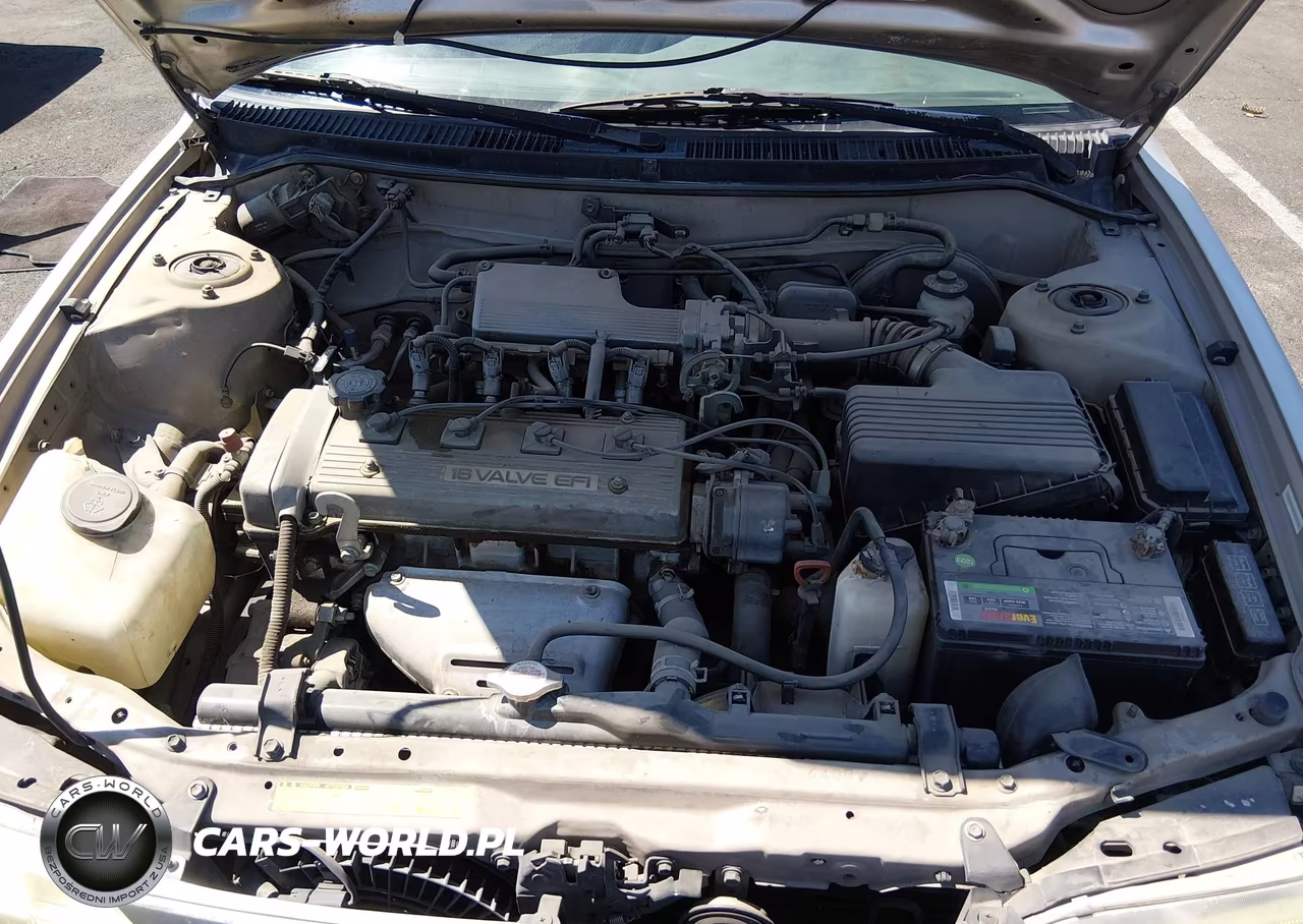 1993 Toyota Corolla Le-Dx VIN:1NXAE09E9PZ092616 - 10