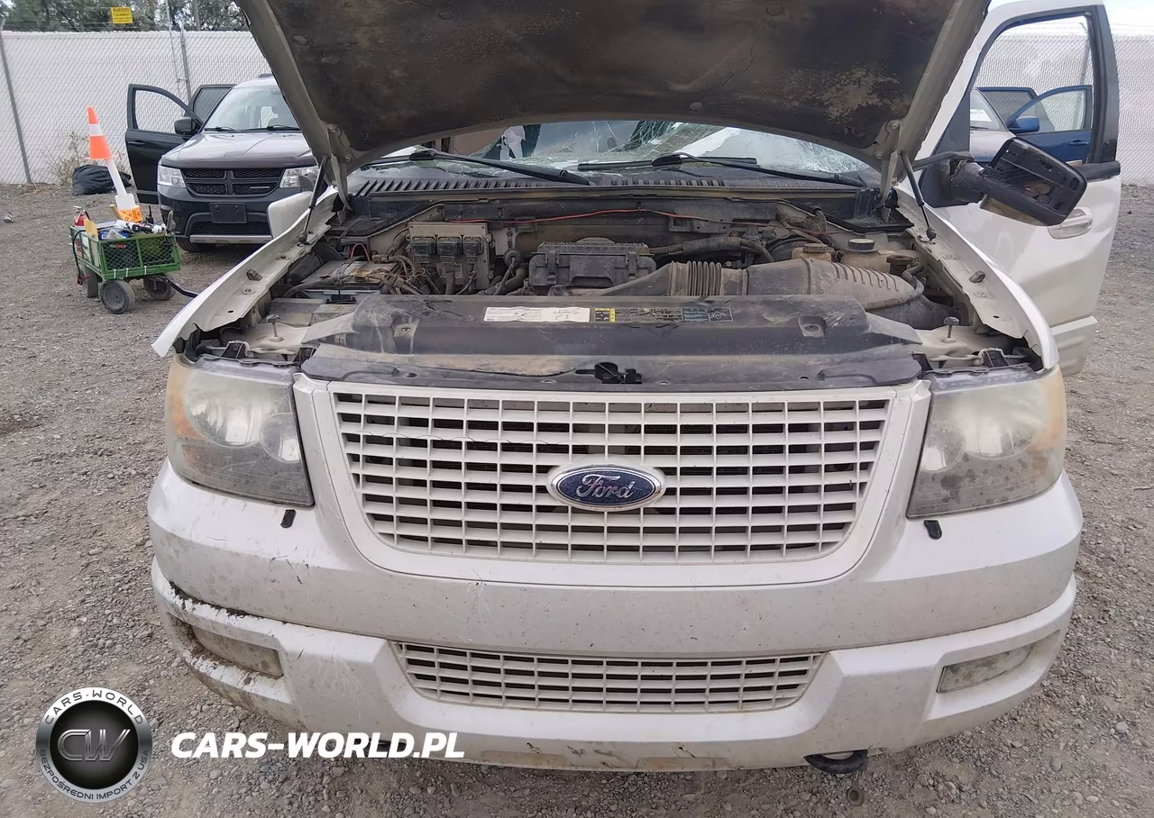2006 Ford Expedition Limited VIN:1FMFU20596LA27335 - 10