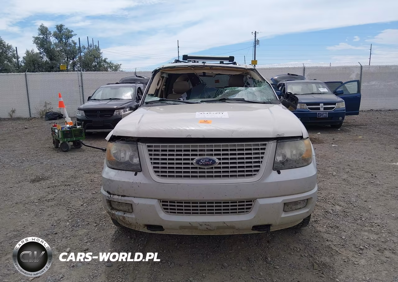 2006 Ford Expedition Limited VIN:1FMFU20596LA27335 - 6