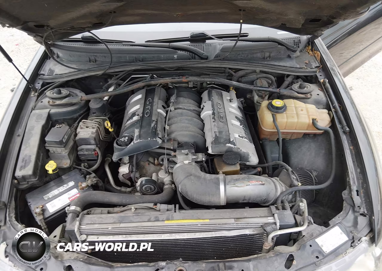 2004 Pontiac Gto VIN:6G2VX12G94L289649 - 10
