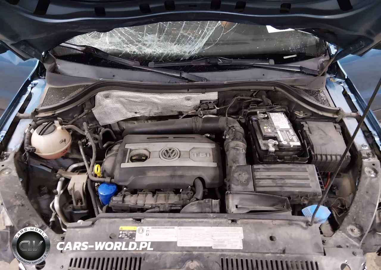 2017 Volkswagen Tiguan 2.0T-2.0T S VIN:WVGBV7AX0HK005421 - 10