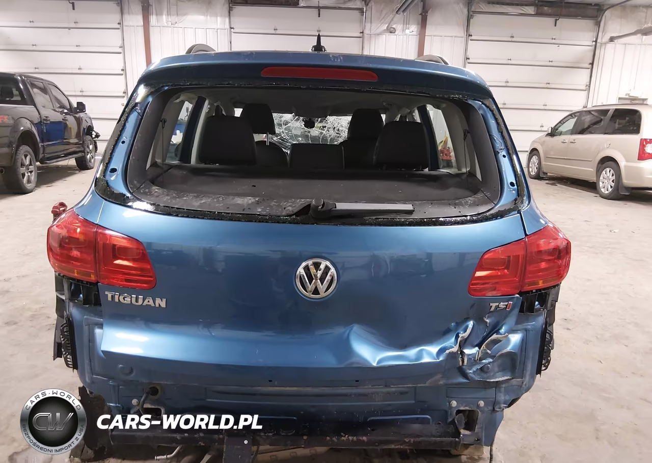2017 Volkswagen Tiguan 2.0T-2.0T S VIN:WVGBV7AX0HK005421 - 17