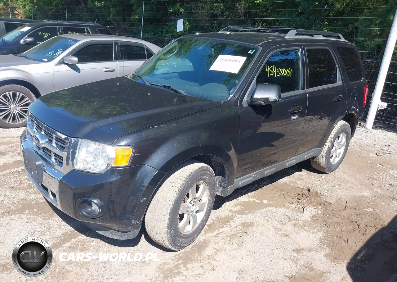 2011 Ford Escape Limited VIN:1FMCU0EG0BKA31825 - 2