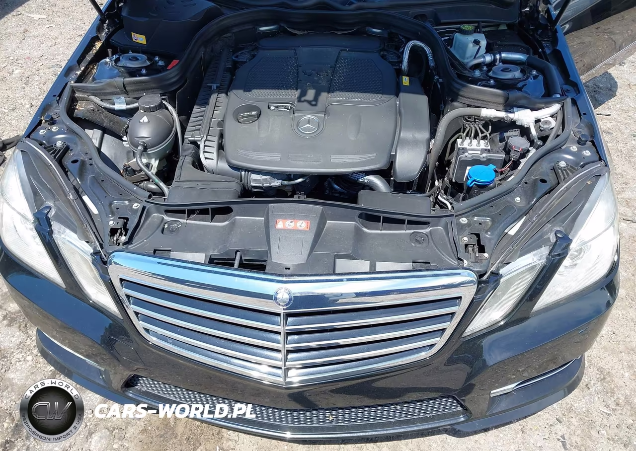 2013 Mercedes-Benz E 350 VIN:WDDHF5KB1DA765785 - 10