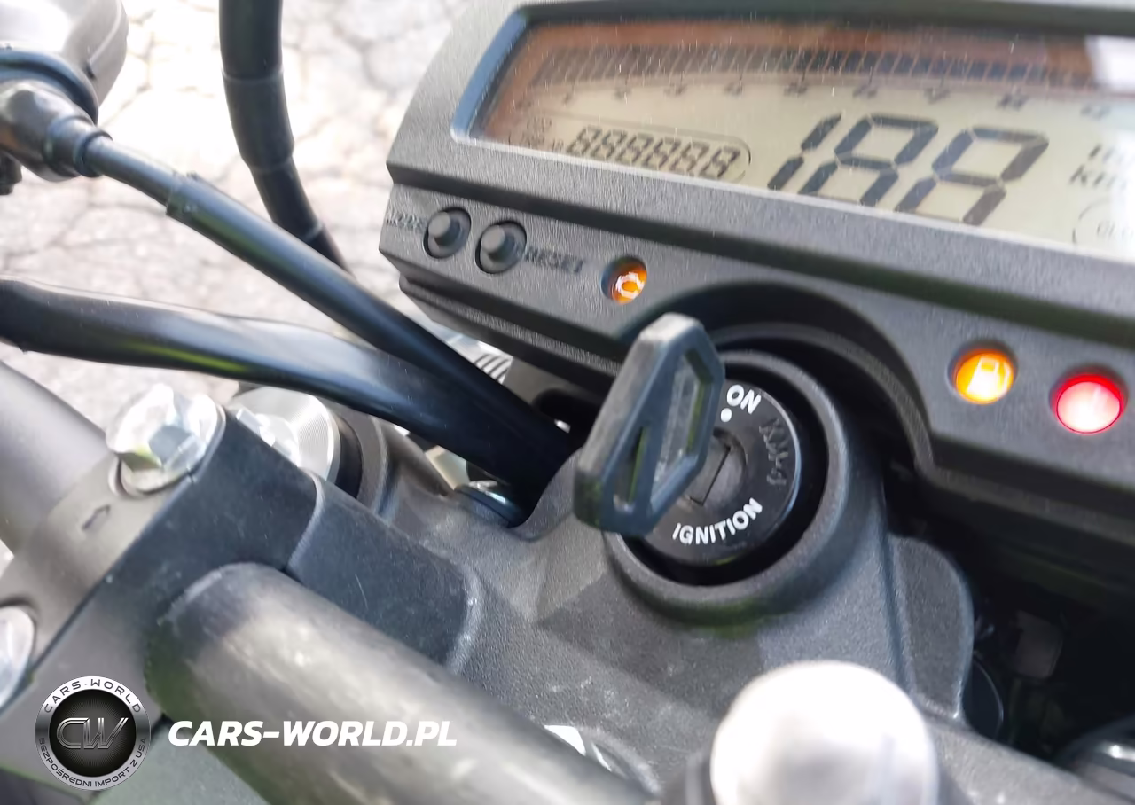 2026 Kawasaki Klx300 F VIN:ML5LXBF13TDA53032 - 11