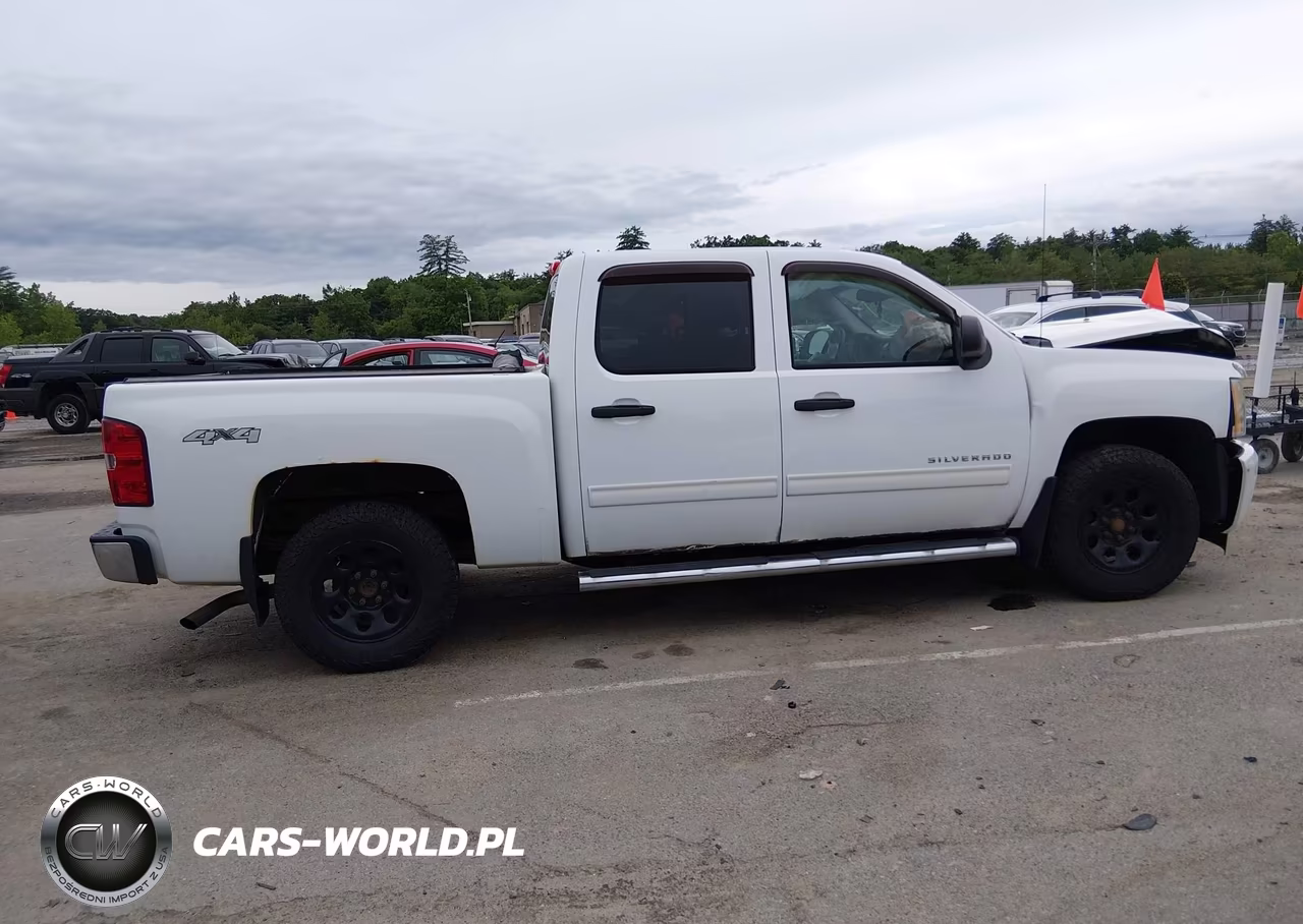 2010 Chevrolet Silverado 1500 Ls VIN:3GCRKREA9AG179062 - 13