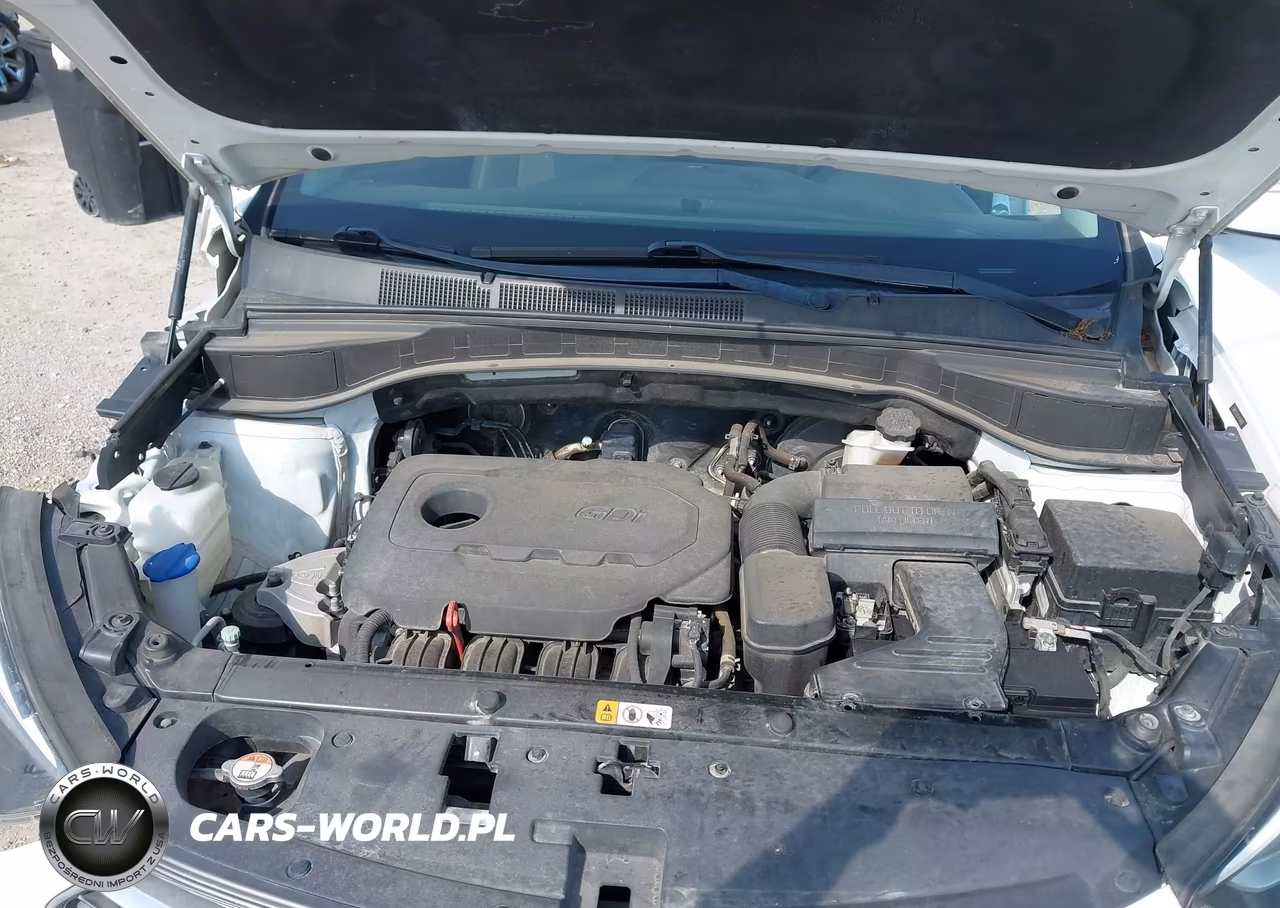 2018 Hyundai Santa Fe Sport 2.4L VIN:5NMZU3LB5JH100400 - 10