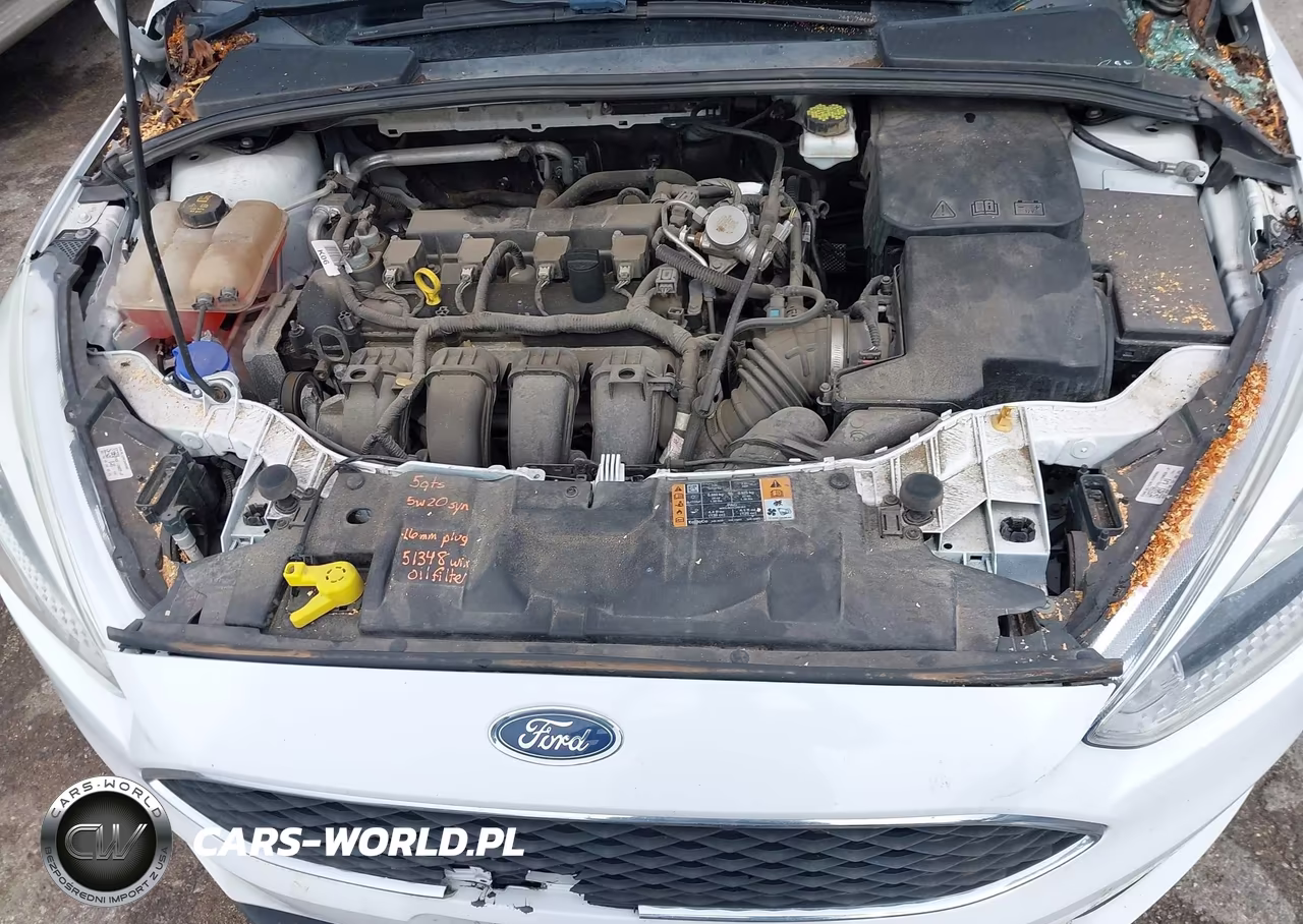 2018 Ford Focus Se VIN:1FADP3F25JL269897 - 10