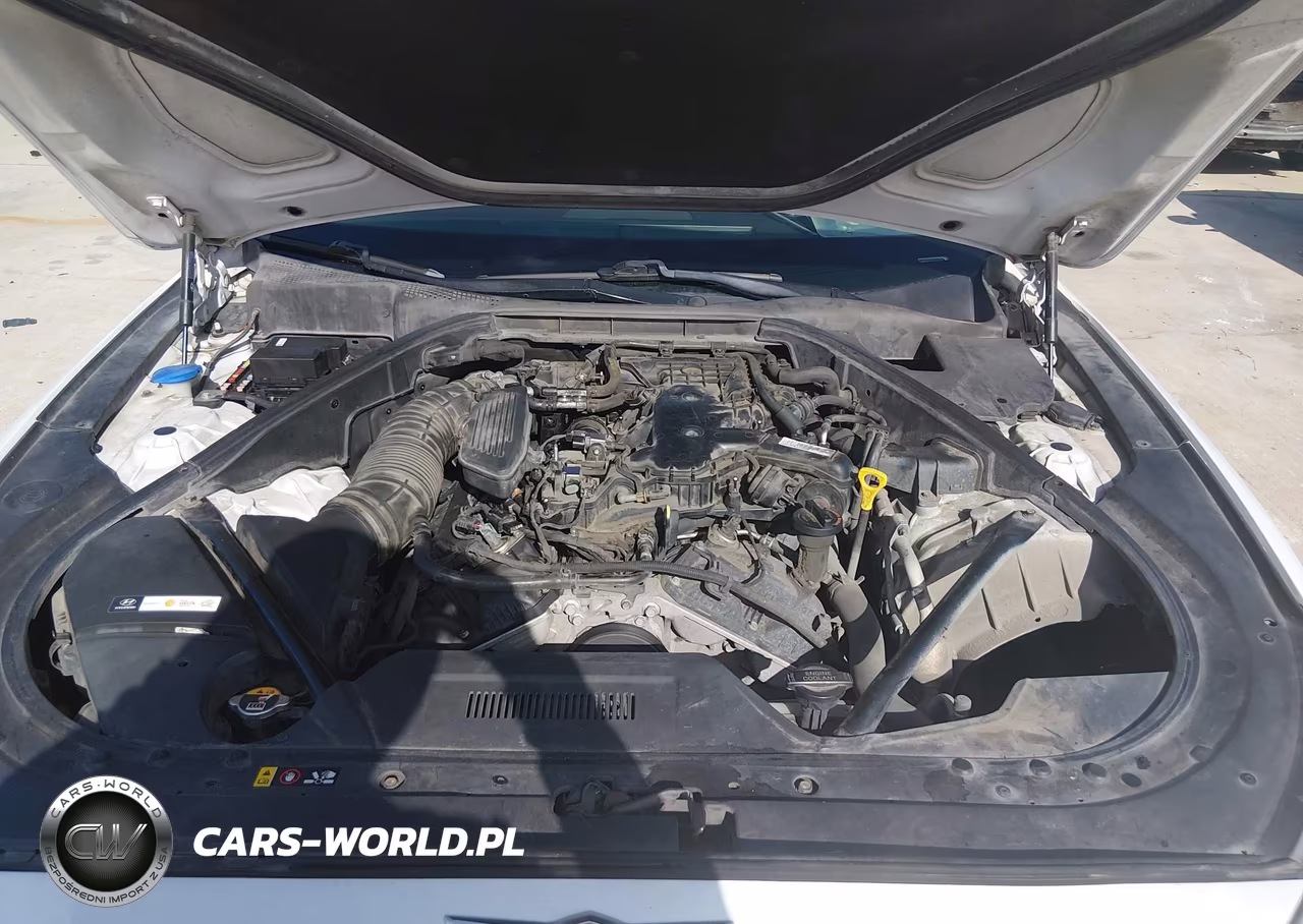 2016 Hyundai Genesis 3.8 VIN:KMHGN4JE9GU115230 - 10