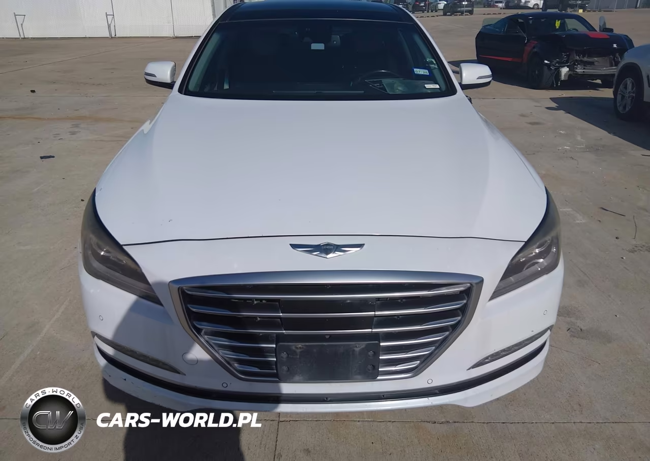 2016 Hyundai Genesis 3.8 VIN:KMHGN4JE9GU115230 - 12