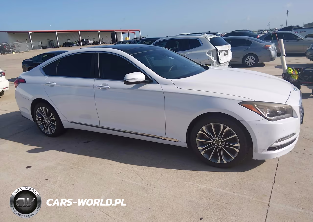2016 Hyundai Genesis 3.8 VIN:KMHGN4JE9GU115230 - 13