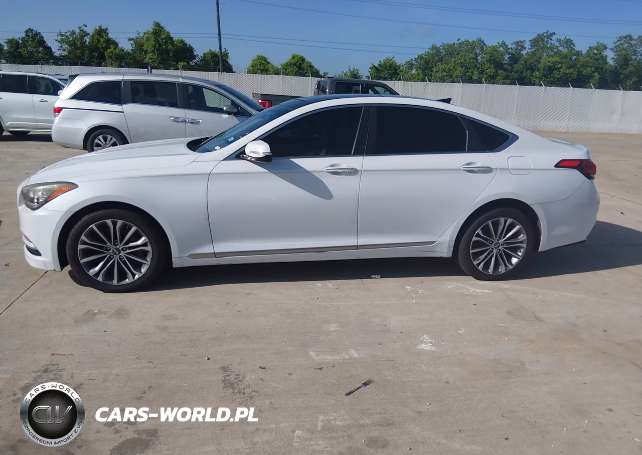 2016 Hyundai Genesis 3.8 VIN:KMHGN4JE9GU115230 - 14