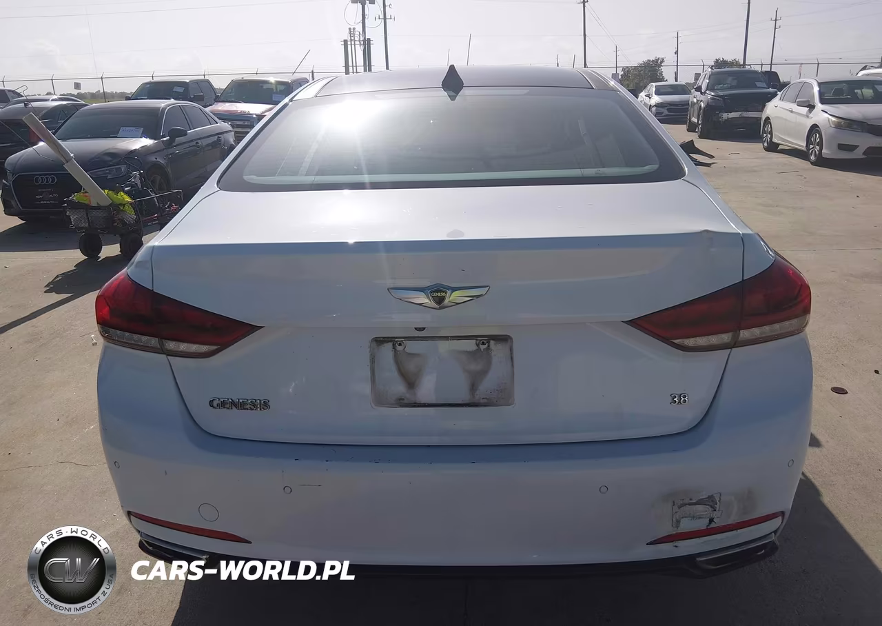 2016 Hyundai Genesis 3.8 VIN:KMHGN4JE9GU115230 - 16